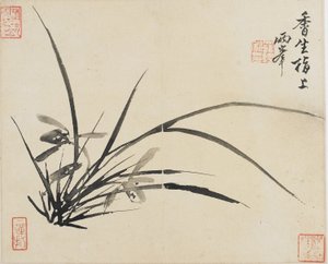 Paesaggi, Fiori e Uccelli: Orchidea, Dinastia Qing, 1780